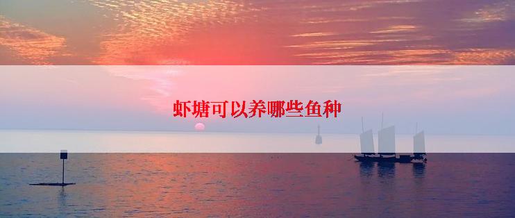 虾塘可以养哪些鱼种