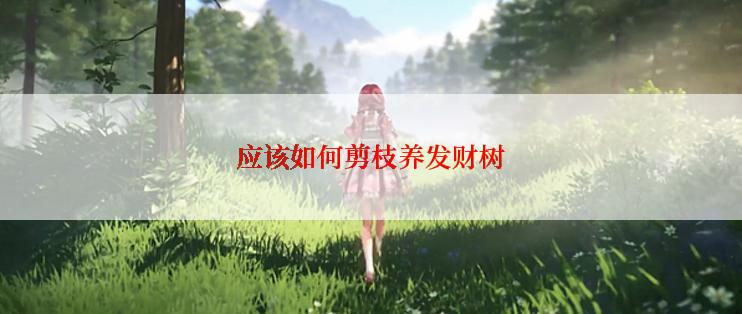 应该如何剪枝养发财树