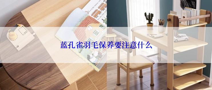 蓝孔雀羽毛保养要注意什么