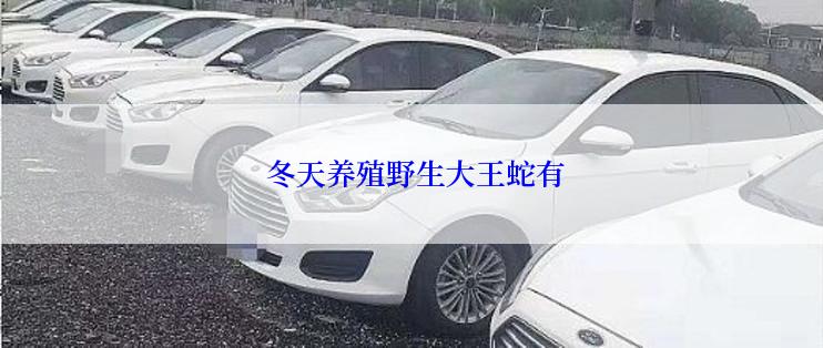  冬天养殖野生大王蛇有