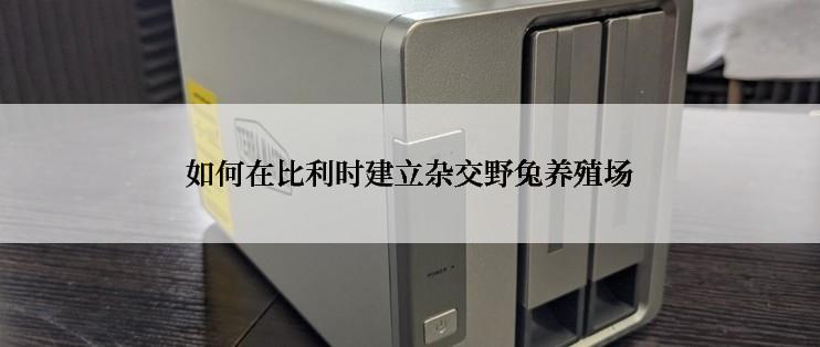如何在比利时建立杂交野兔养殖场