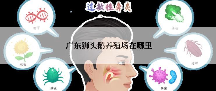  广东狮头鹅养殖场在哪里