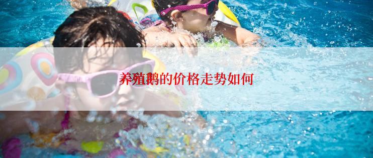养殖鹅的价格走势如何