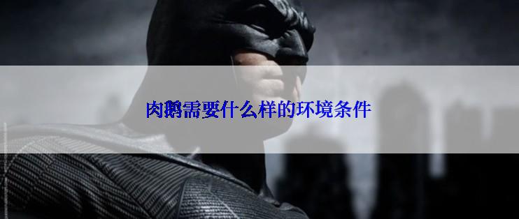 肉鹅需要什么样的环境条件