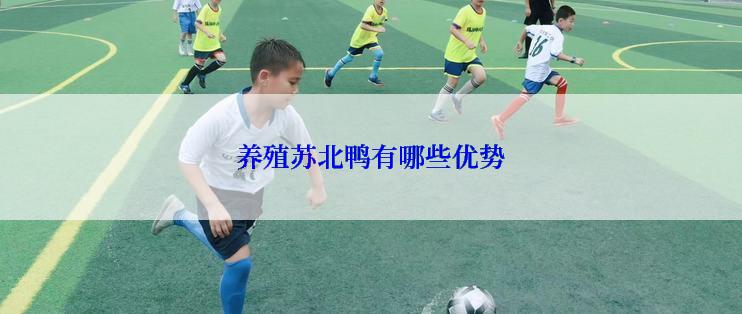 养殖苏北鸭有哪些优势