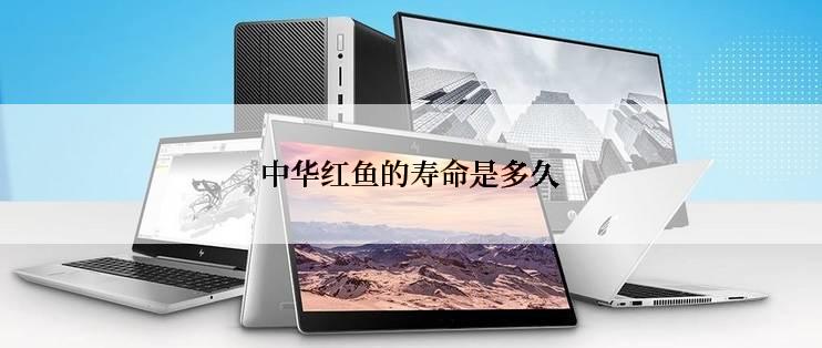 中华红鱼的寿命是多久