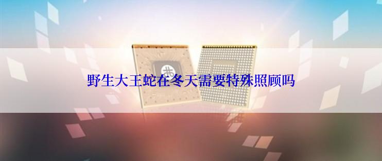野生大王蛇在冬天需要特殊照顾吗