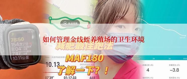 如何管理金线蛭养殖场的卫生环境