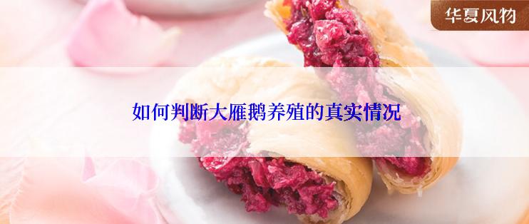  如何判断大雁鹅养殖的真实情况