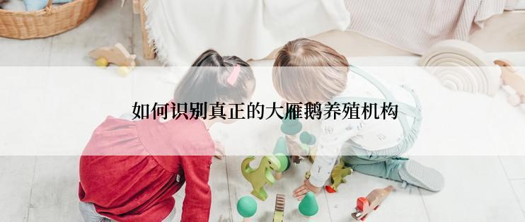  如何识别真正的大雁鹅养殖机构