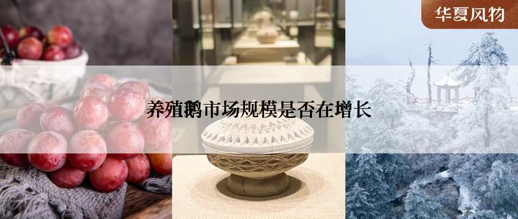 养殖鹅市场规模是否在增长