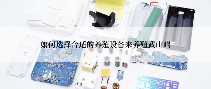 如何选择合适的养殖设备来养殖武山鸡