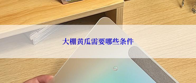 大棚黄瓜需要哪些条件