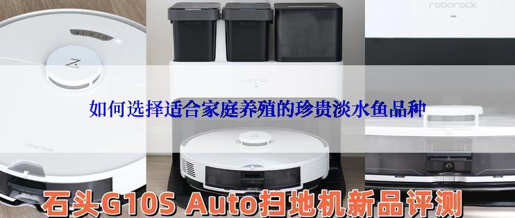 如何选择适合家庭养殖的珍贵淡水鱼品种