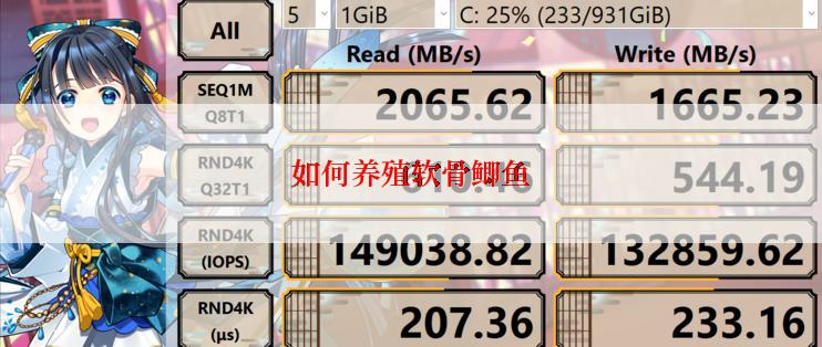 如何养殖软骨鲫鱼