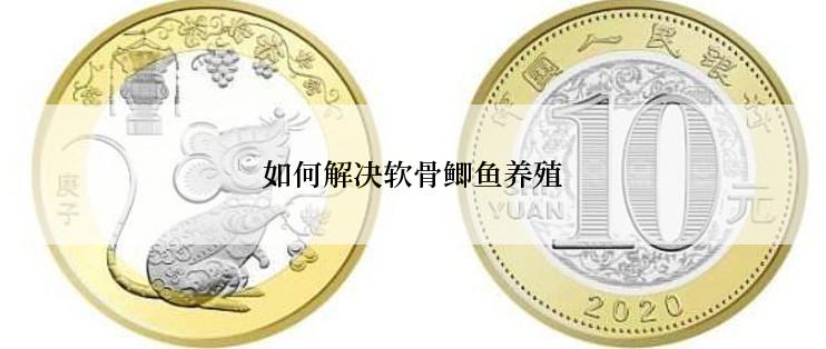如何解决软骨鲫鱼养殖