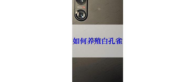 如何养殖白孔雀