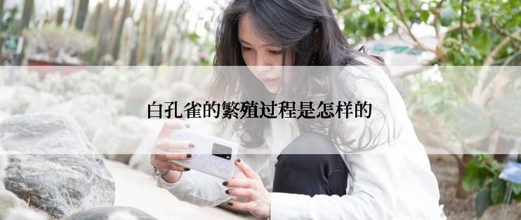 白孔雀的繁殖过程是怎样的