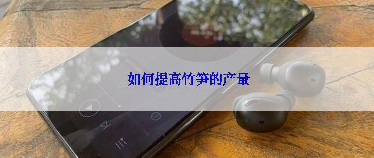  如何提高竹笋的产量