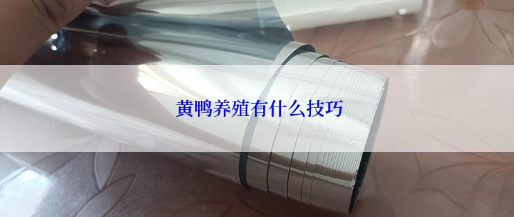  黄鸭养殖有什么技巧