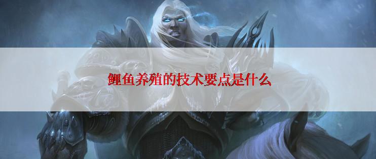  鲤鱼养殖的技术要点是什么