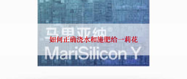 如何正确浇水和施肥给一莉花