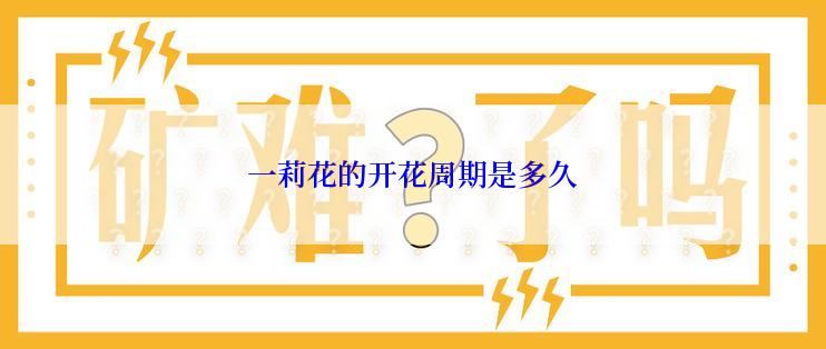 一莉花的开花周期是多久