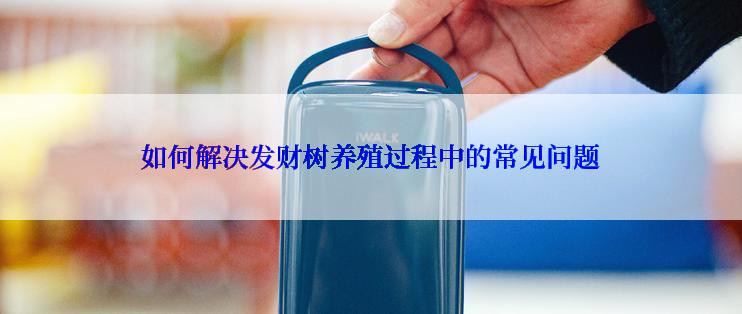 如何解决发财树养殖过程中的常见问题