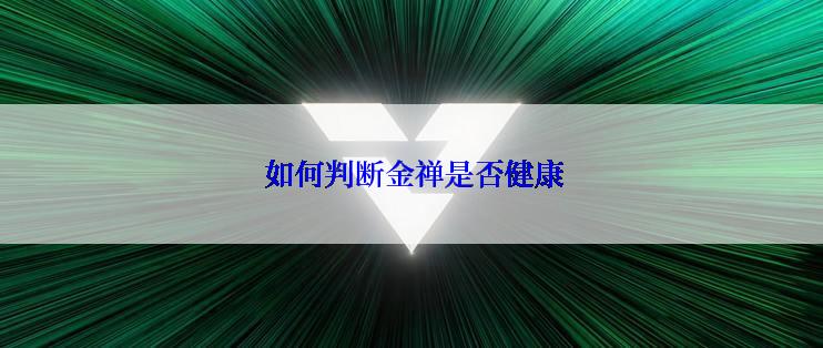  如何判断金禅是否健康