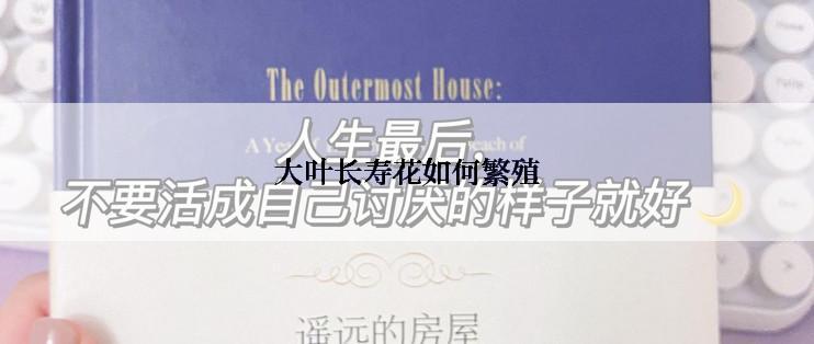 大叶长寿花如何繁殖