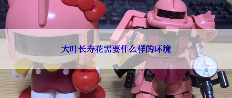 大叶长寿花需要什么样的环境