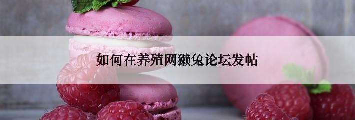 如何在养殖网獭兔论坛发帖