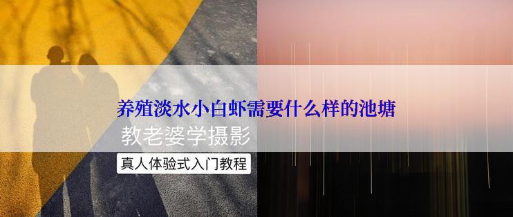 养殖淡水小白虾需要什么样的池塘