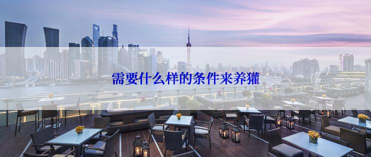 需要什么样的条件来养獾