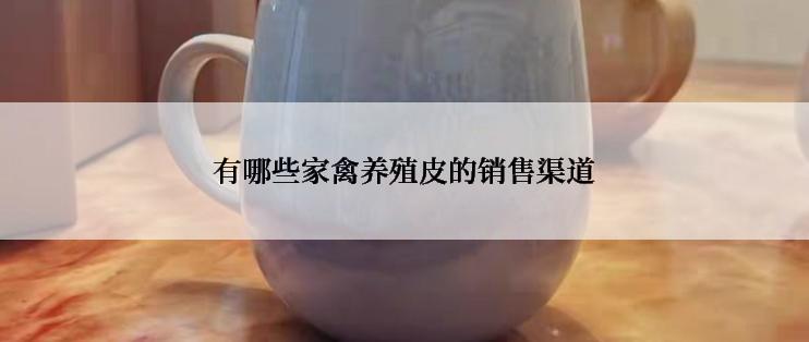 有哪些家禽养殖皮的销售渠道