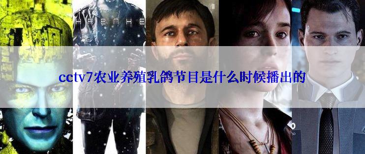cctv7农业养殖乳鸽节目是什么时候播出的