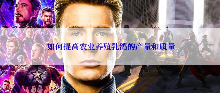  如何提高农业养殖乳鸽的产量和质量