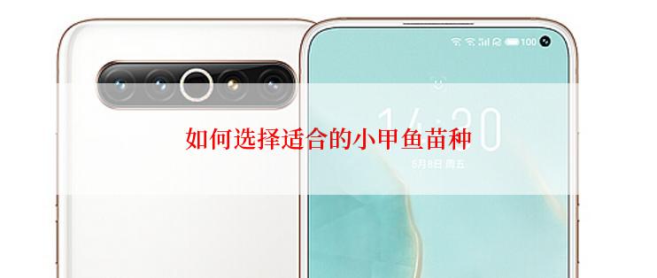如何选择适合的小甲鱼苗种