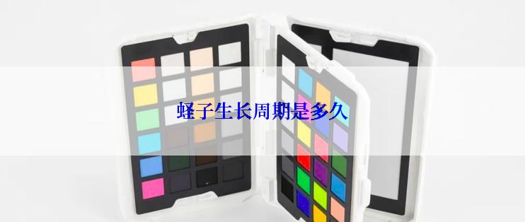 蛏子生长周期是多久