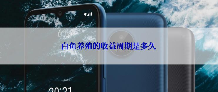 白鱼养殖的收益周期是多久