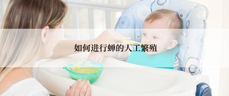  如何进行蝉的人工繁殖