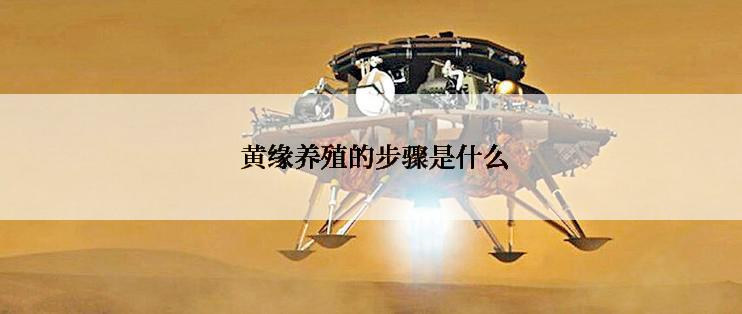  黄缘养殖的步骤是什么