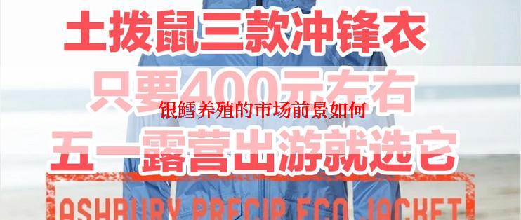  银鳕养殖的市场前景如何