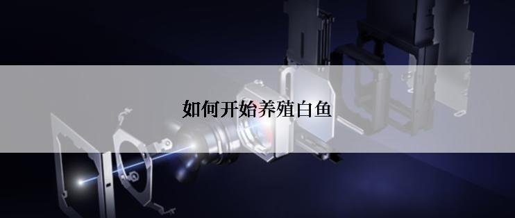 如何开始养殖白鱼