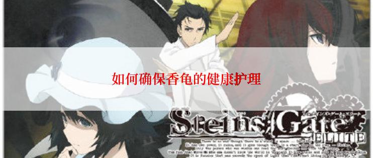 如何确保香龟的健康护理