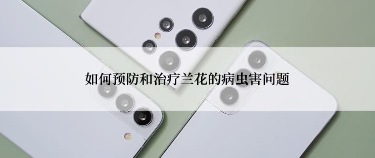 如何预防和治疗兰花的病虫害问题