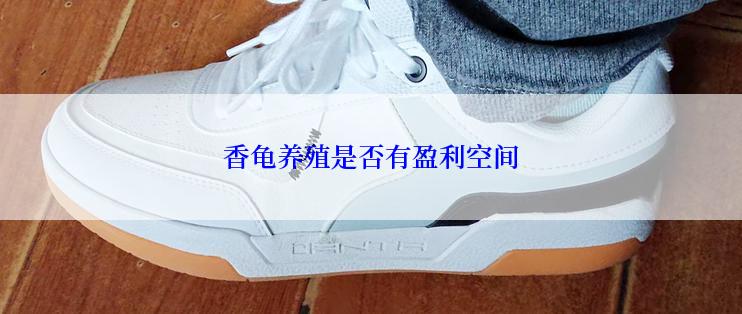香龟养殖是否有盈利空间