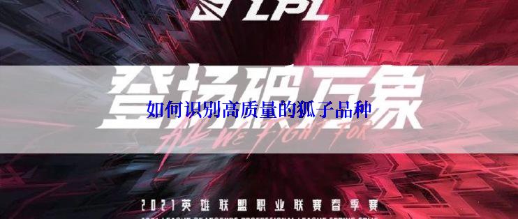 如何识别高质量的狐子品种