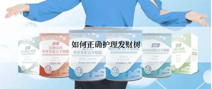 如何正确护理发财树