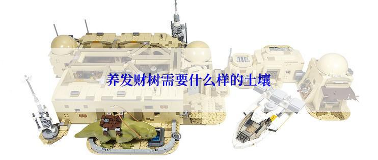 养发财树需要什么样的土壤